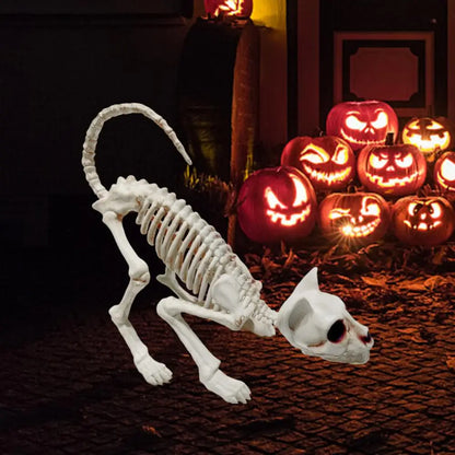 Decoración de Gato Esqueleto, Adorno de Plástico con Huesos de Animal Terrorífico, Decoración para Jardín o Patio, Ideal para Crear un Ambiente Festivo de Halloween 2025 💀🐈‍⬛